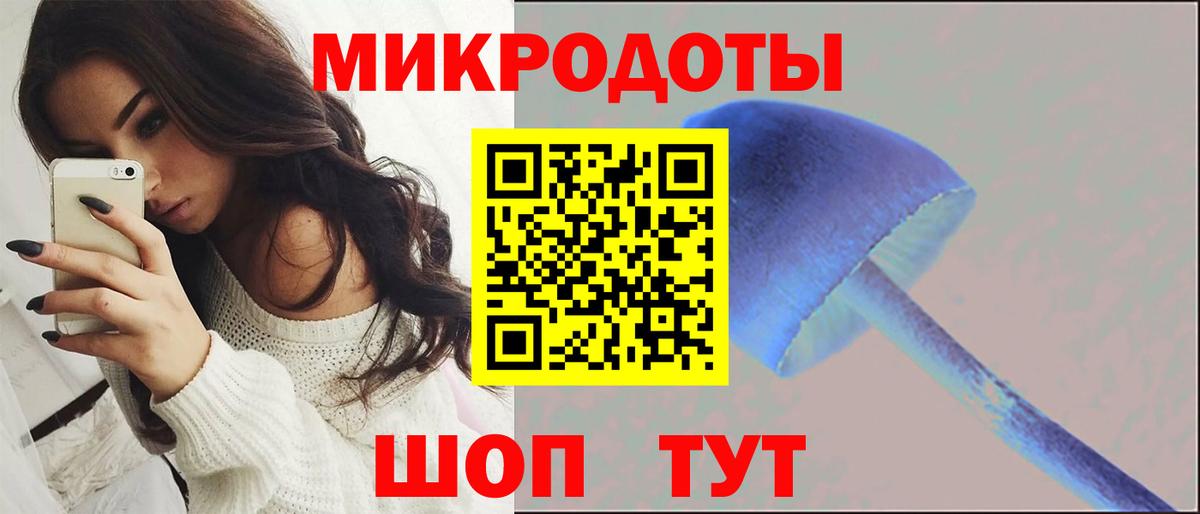 Псилоцибиновые грибы Psilocybe  Вход с VPN  Магадан 